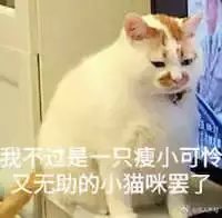 科學(xué)養(yǎng)寵：教你讓家養(yǎng)貓乖乖吃飯養(yǎng)寵：教你讓家養(yǎng)貓乖乖吃飯