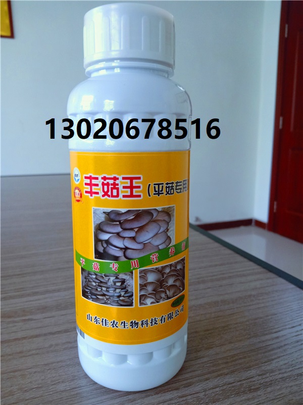 淄博市 豐菇王出菇快