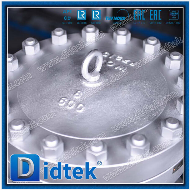 德標(biāo)止回閥圖片/德標(biāo)止回閥樣板圖 (3)