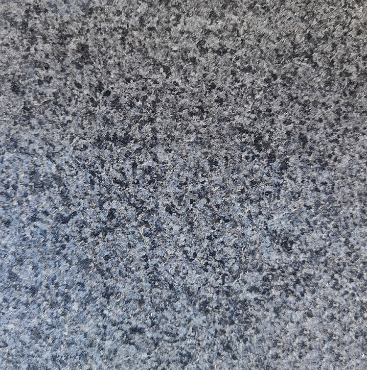 芝麻黑圖片/芝麻黑樣板圖 (4)