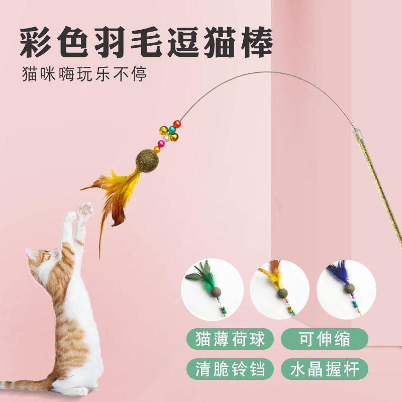 猫薄荷逗猫棒可伸缩猫咪玩具铃铛羽毛逗猫杆厂家批发宠物互动用品 彩色羽毛逗猫棒图片