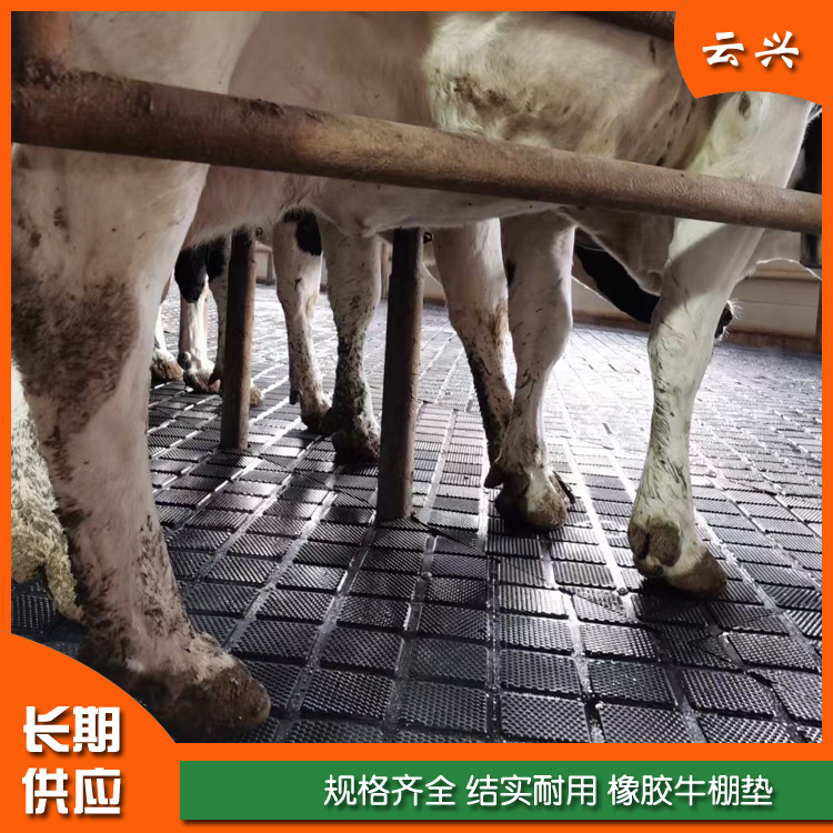 青岛云兴 橡胶牛棚垫 结实牛床垫  橡胶牛栏垫 牛脚垫 橡胶猪舍垫