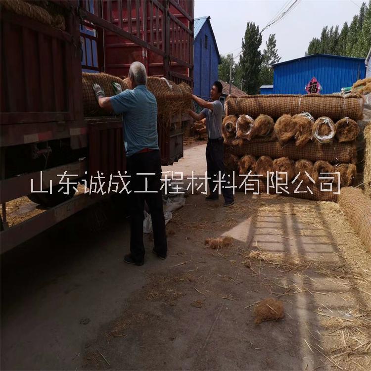 邊坡生態(tài)防護(hù)圖片/邊坡生態(tài)防護(hù)樣板圖 (1)