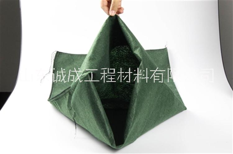 高邊坡防護(hù)圖片/高邊坡防護(hù)樣板圖 (2)