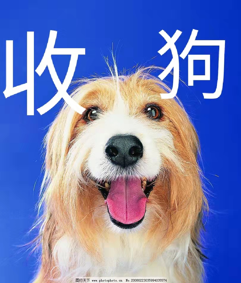 臨沂收狗臨沂回收寵物狗電話