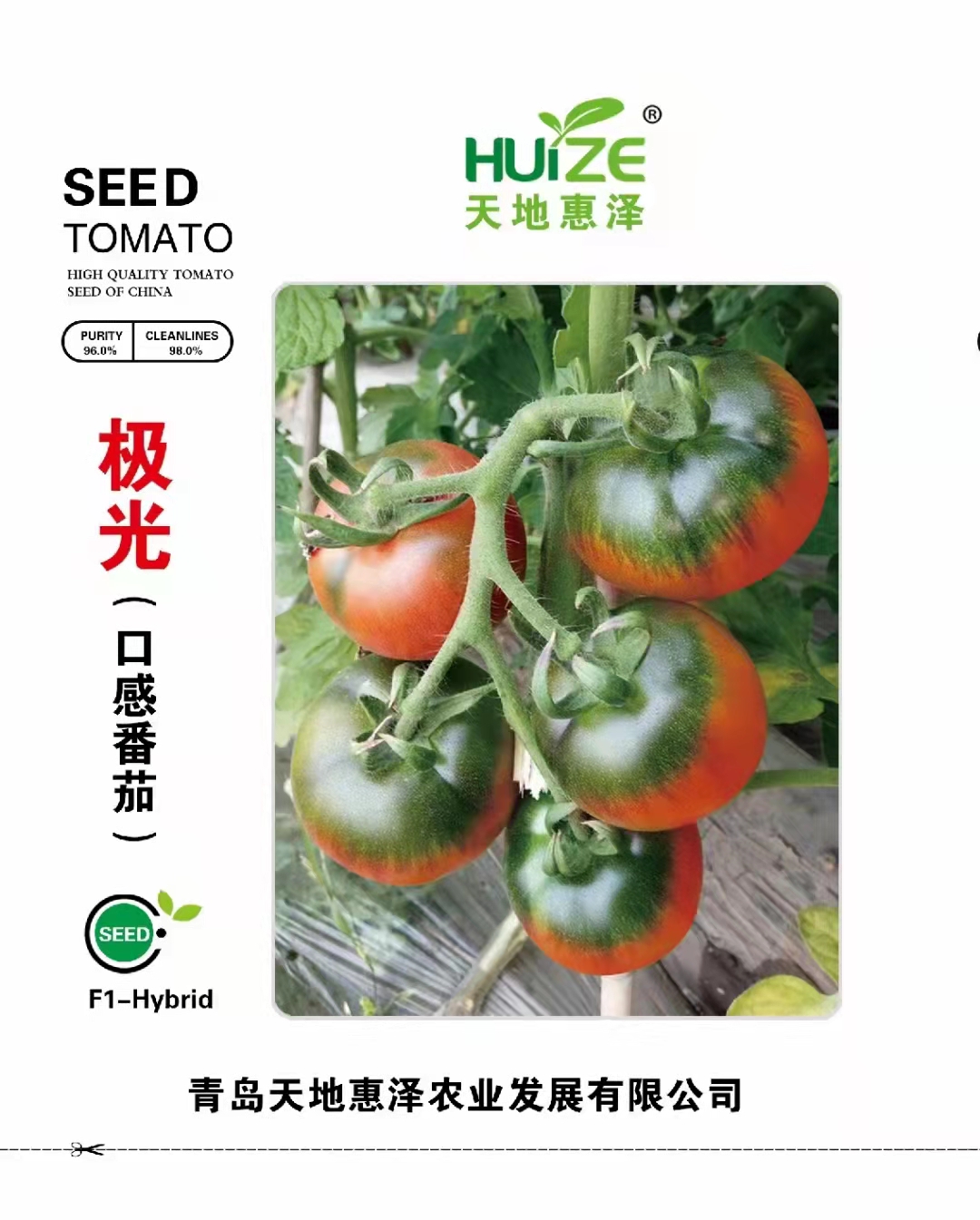山東青島極光（口感番茄）番茄種子批發(fā)公司銷售價格 極光（口感番茄）種子