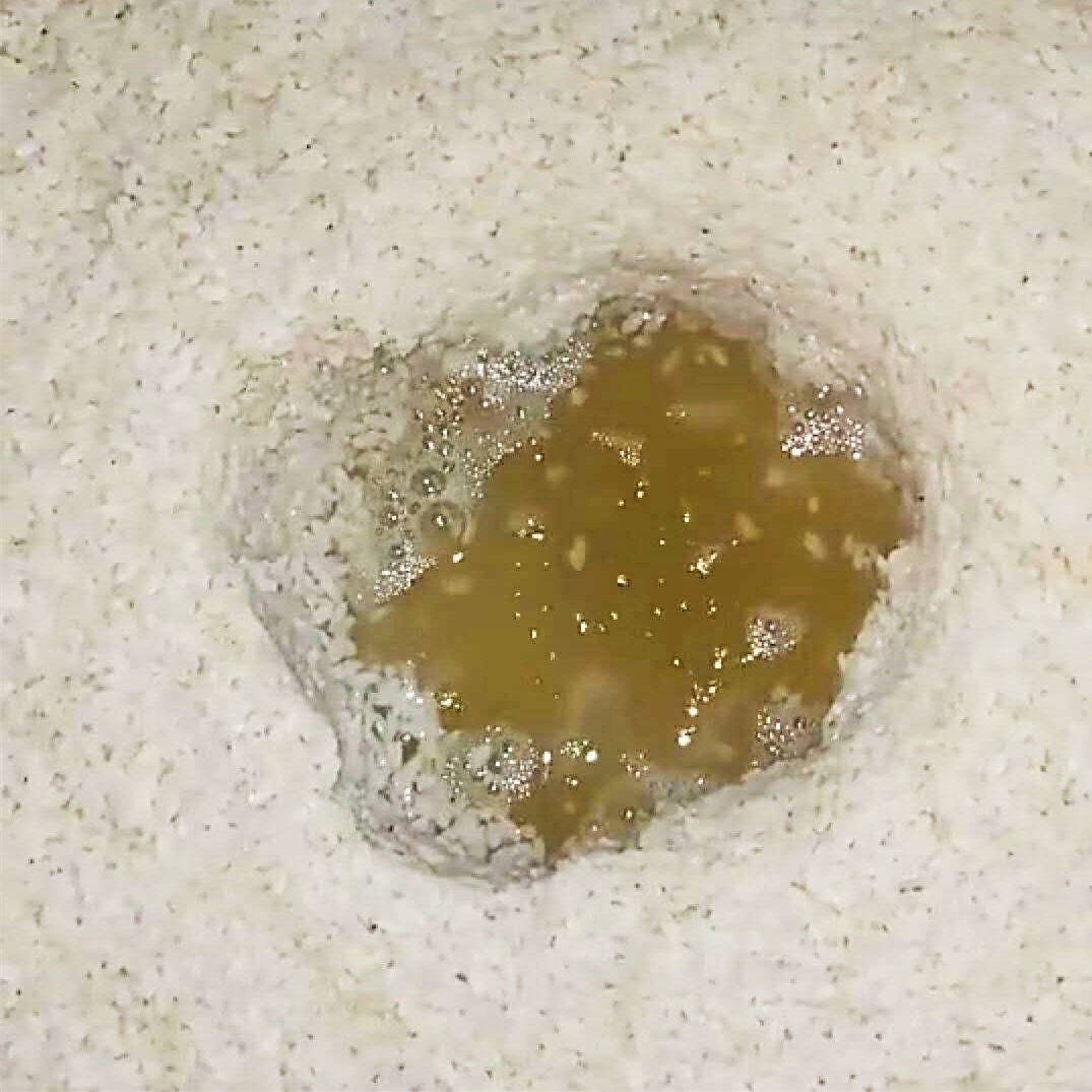 米酒圖片/米酒樣板圖 (2)
