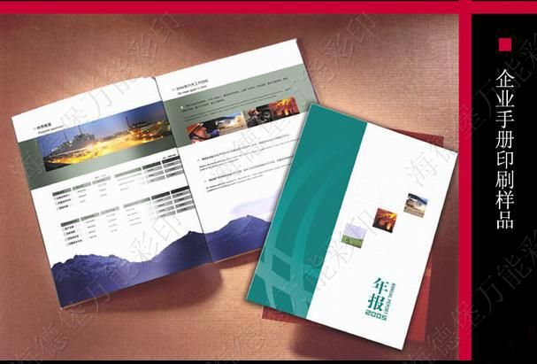 畫冊印刷圖片/畫冊印刷樣板圖 (4)