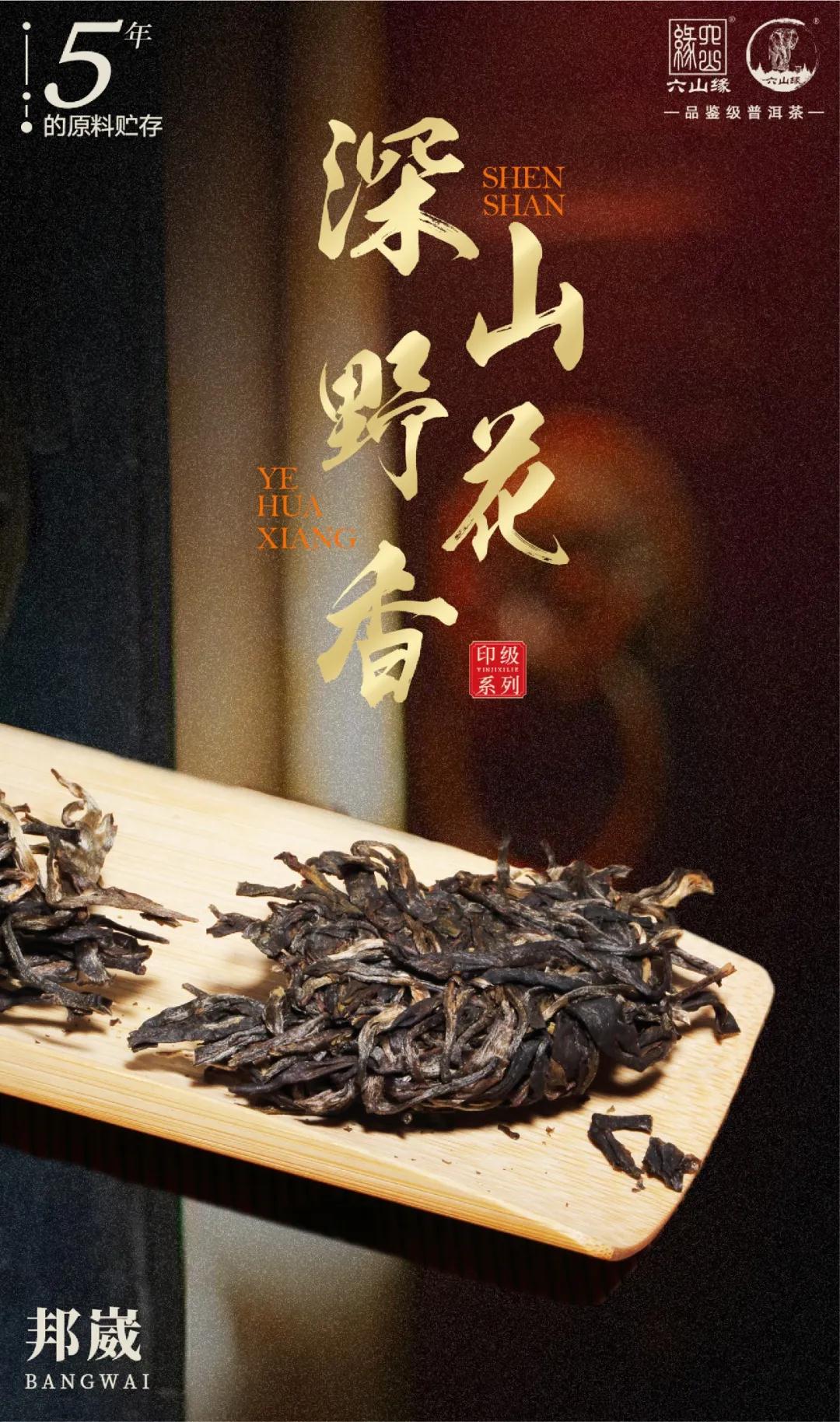 普洱茶 黃印版圖片/普洱茶 黃印版樣板圖 (2)