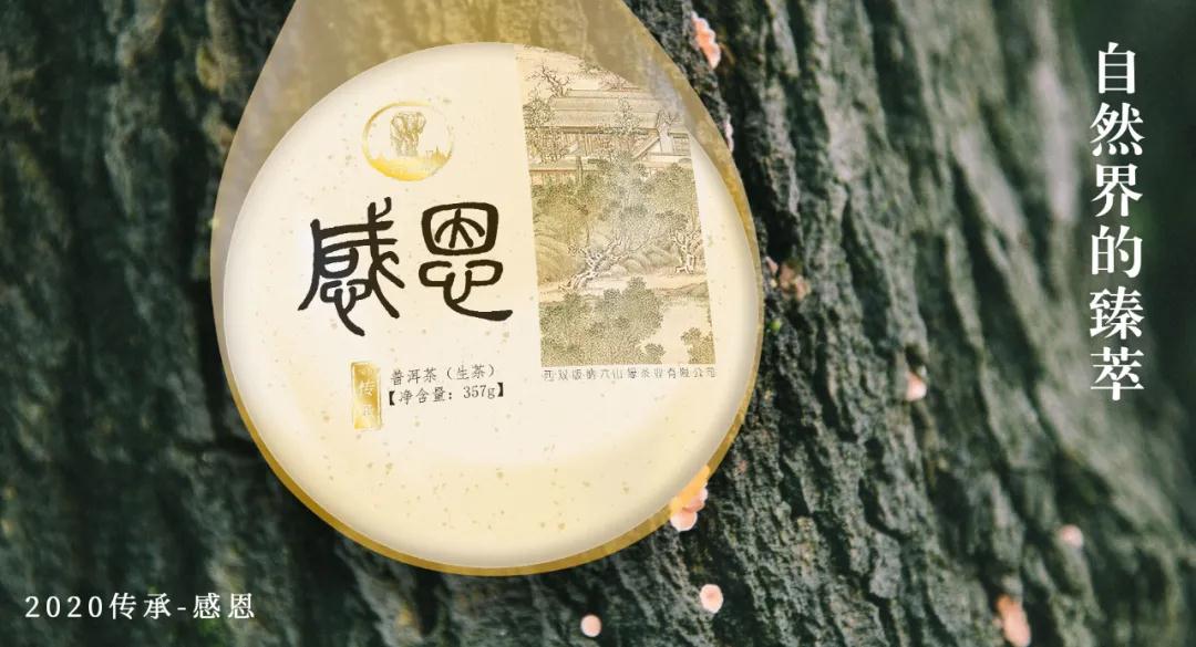 普洱茶 感恩版圖片