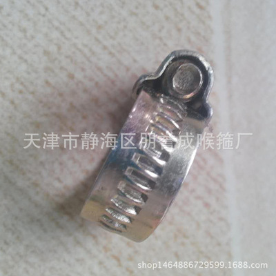 水管喉箍圖片/水管喉箍樣板圖 (4)