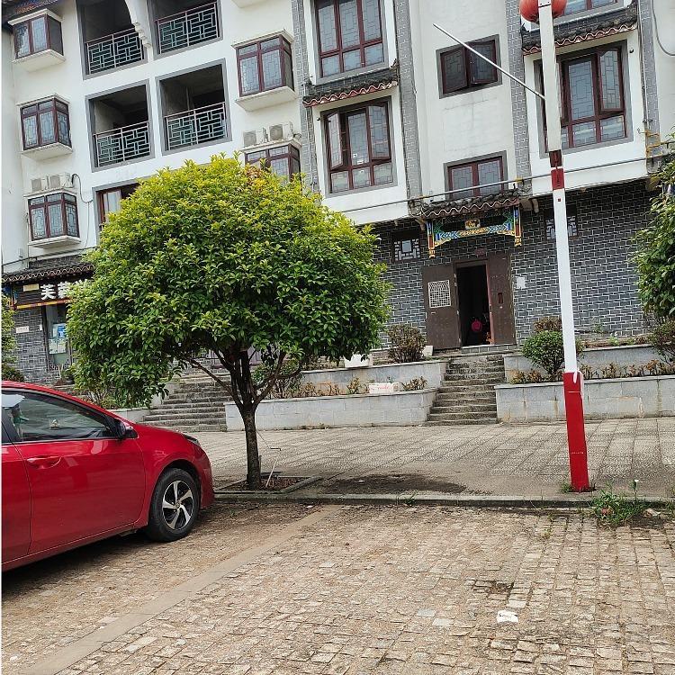 桂花圖片/桂花樣板圖 (1)