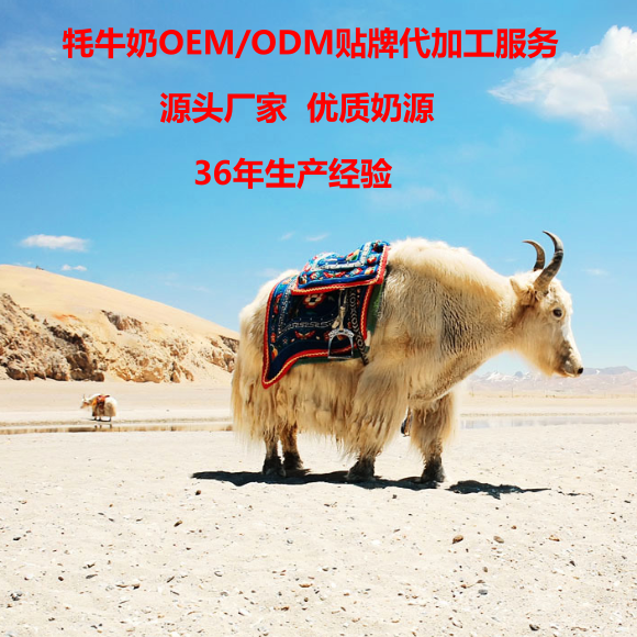 牛乳粉圖片/牛乳粉樣板圖 (4)
