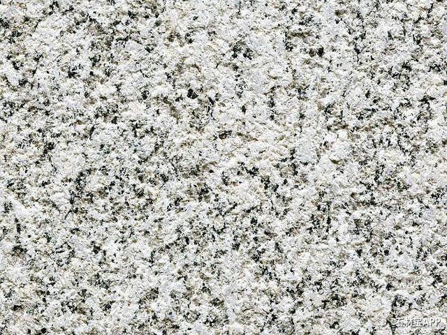 芙蓉白圖片/芙蓉白樣板圖 (3)