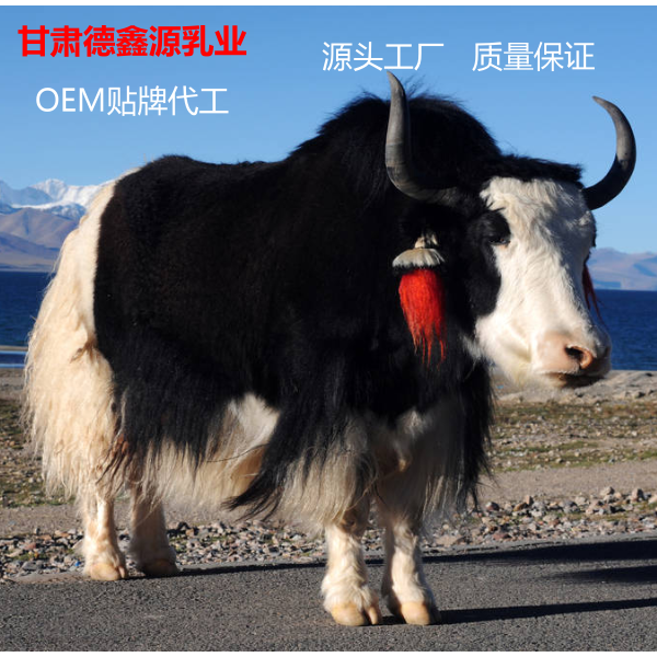 牛奶粉圖片/牛奶粉樣板圖 (2)