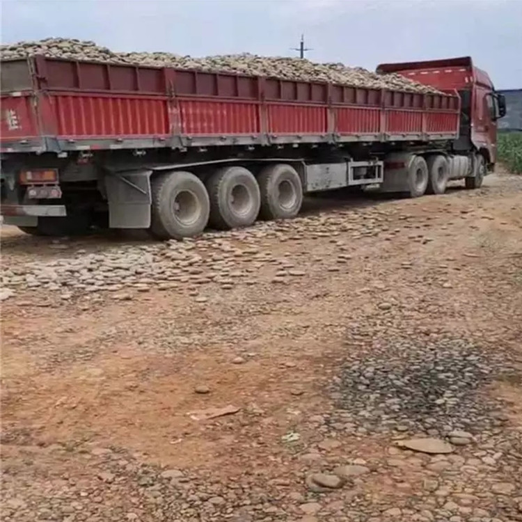 廣西鵝卵石圖片/廣西鵝卵石樣板圖 (4)