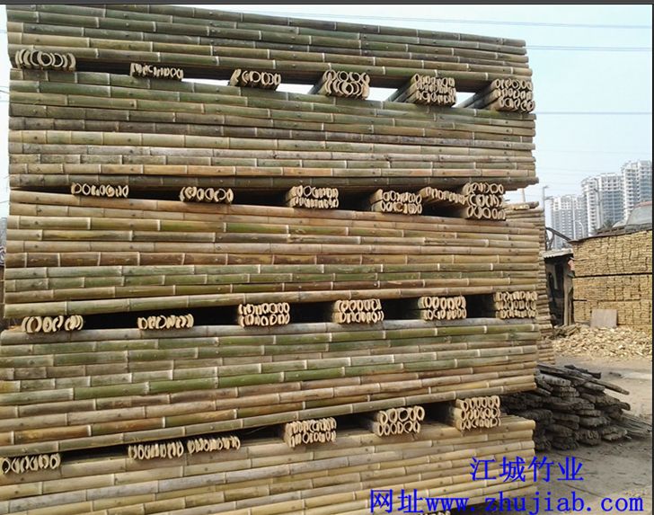 柳州竹子架圖片/柳州竹子架樣板圖 (3)