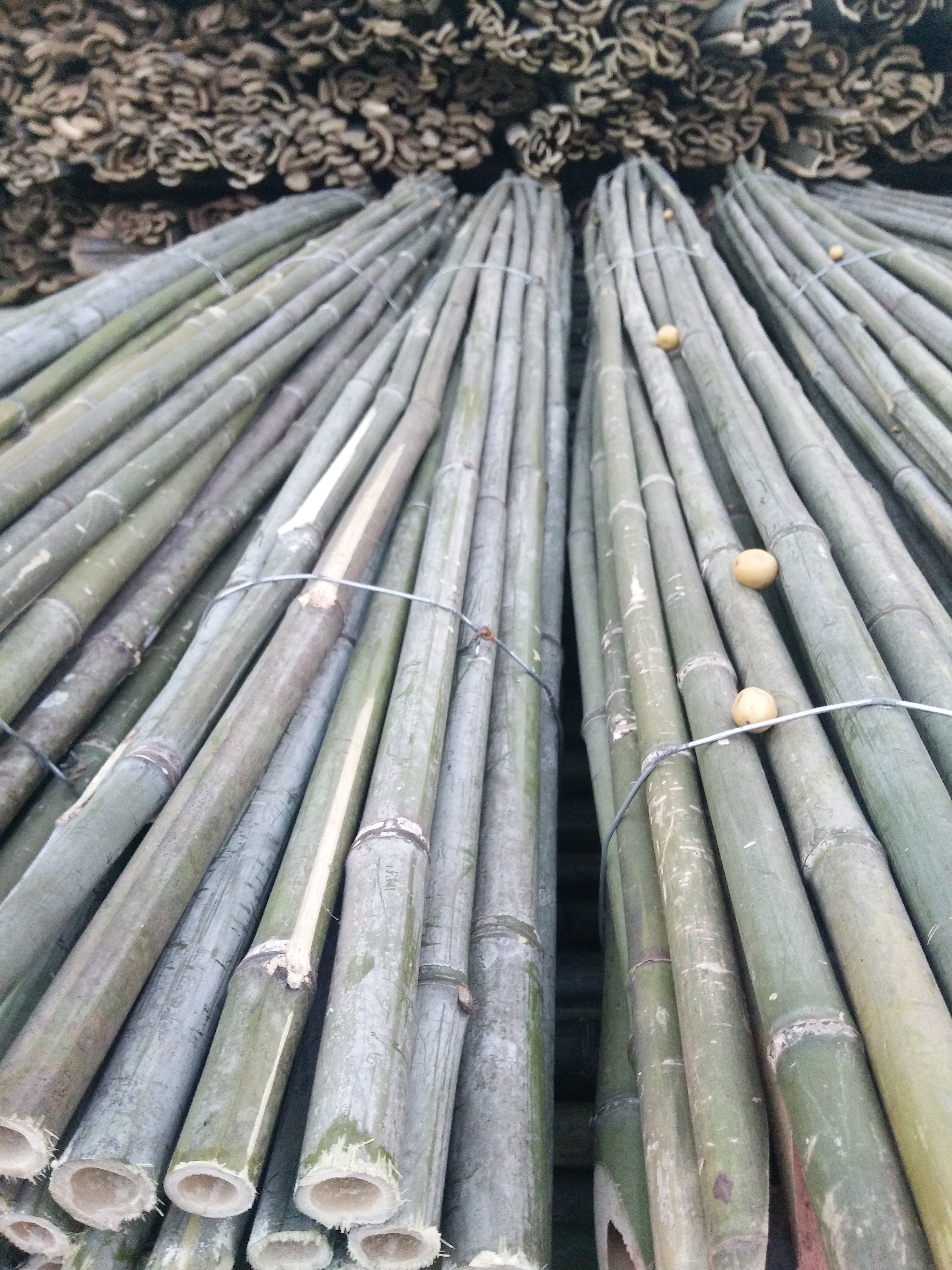 種菜竹架牽引架攀爬細竹竿家用2.5米竹材架豆角架桿裝修小竹子2米