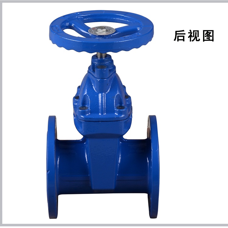 鑄鐵閘閥圖片/鑄鐵閘閥樣板圖 (4)