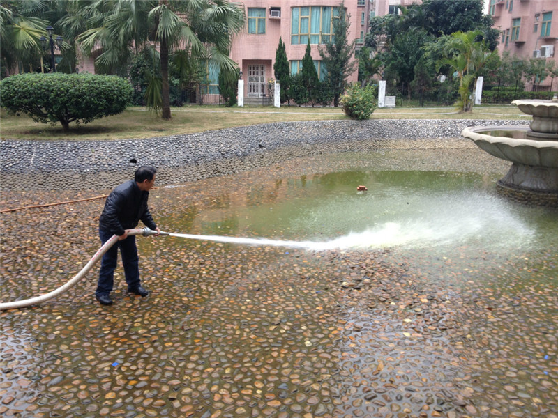 金沙郵電局附近大型金魚池清洗圖片/金沙郵電局附近大型金魚池清洗樣板圖 (4)