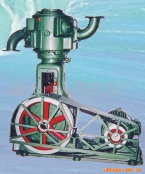 溫州市人民機(jī)泵廠往復(fù)真空泵