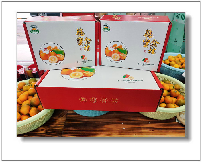 脆蜜金桔果圖片/脆蜜金桔果樣板圖 (1)