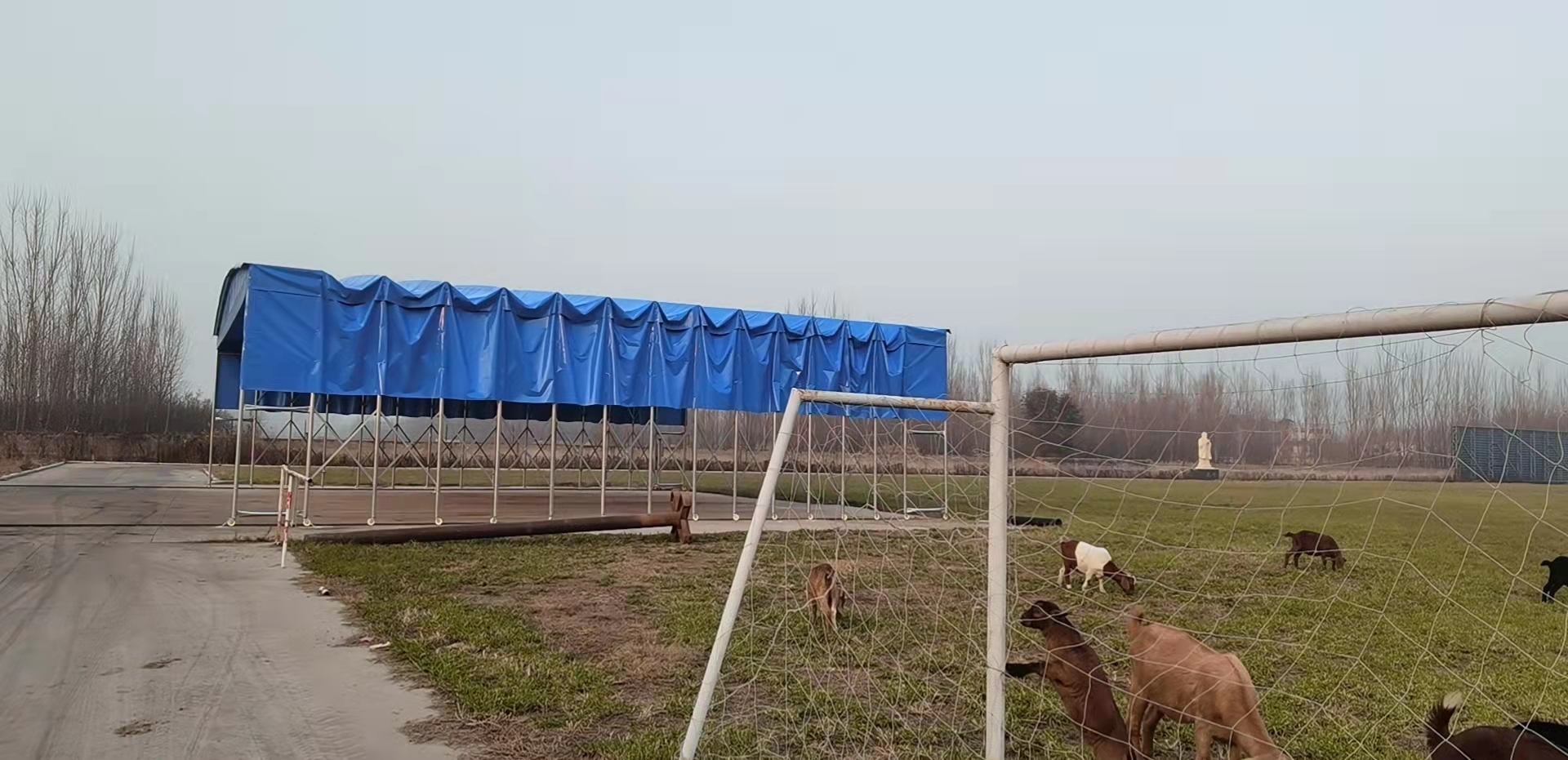 遮陽棚圖片/遮陽棚樣板圖 (3)