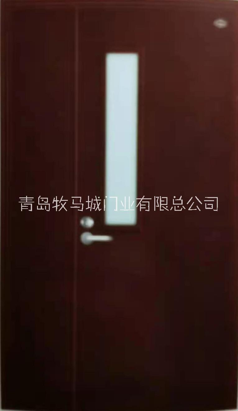 鋼木質(zhì)防火門圖片/鋼木質(zhì)防火門樣板圖 (3)
