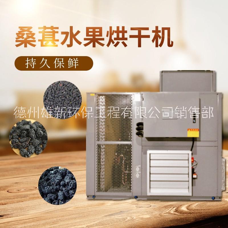 果蔬烘干機(jī)早沃桑葚?zé)岜煤娓蓹C(jī)一機(jī)多用