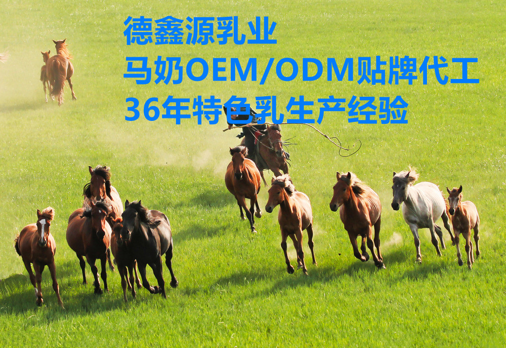 德鑫源馬奶粉oem代加工圖片
