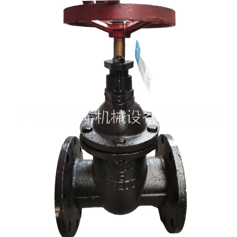 鑄鐵法蘭閘閥暗桿Z45T-10 閘閥Z41T-10/16法蘭明桿閘閥 管道閥門