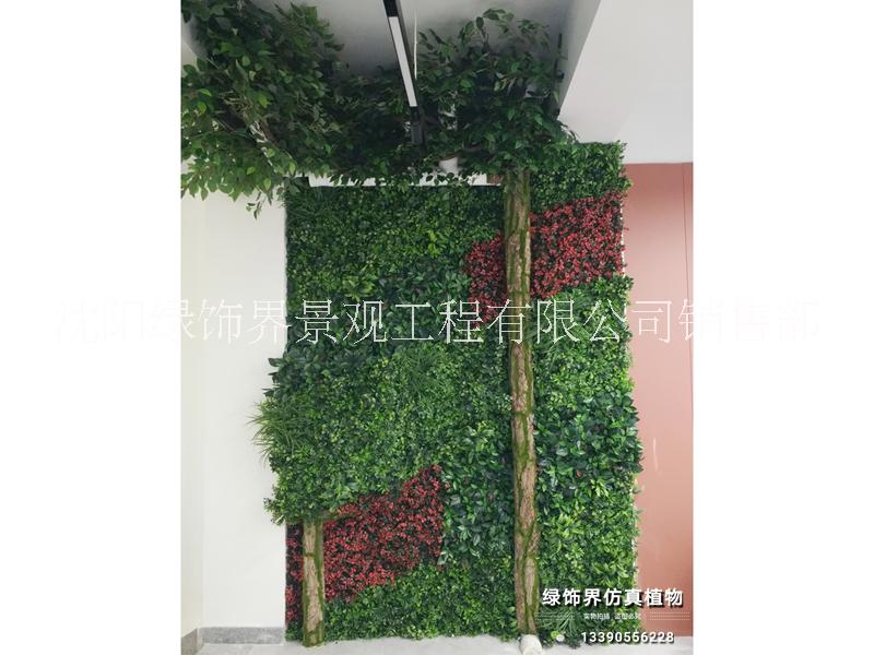 仿真植物圖片/仿真植物樣板圖 (3)