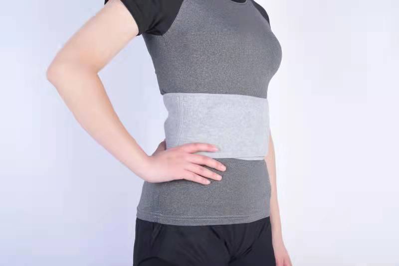 艾草圖片/艾草樣板圖 (2)