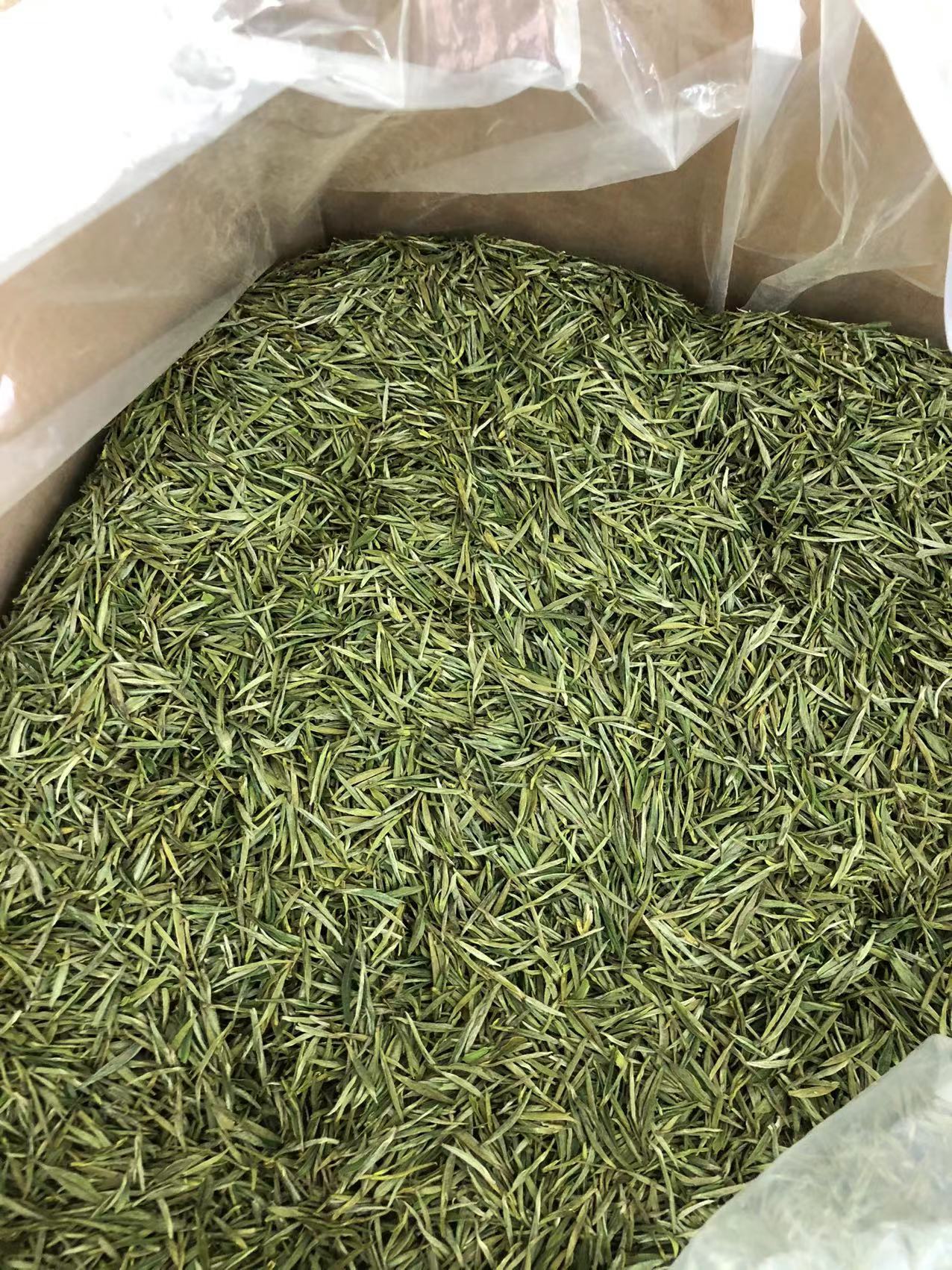 高山綠茶圖片/高山綠茶樣板圖 (2)