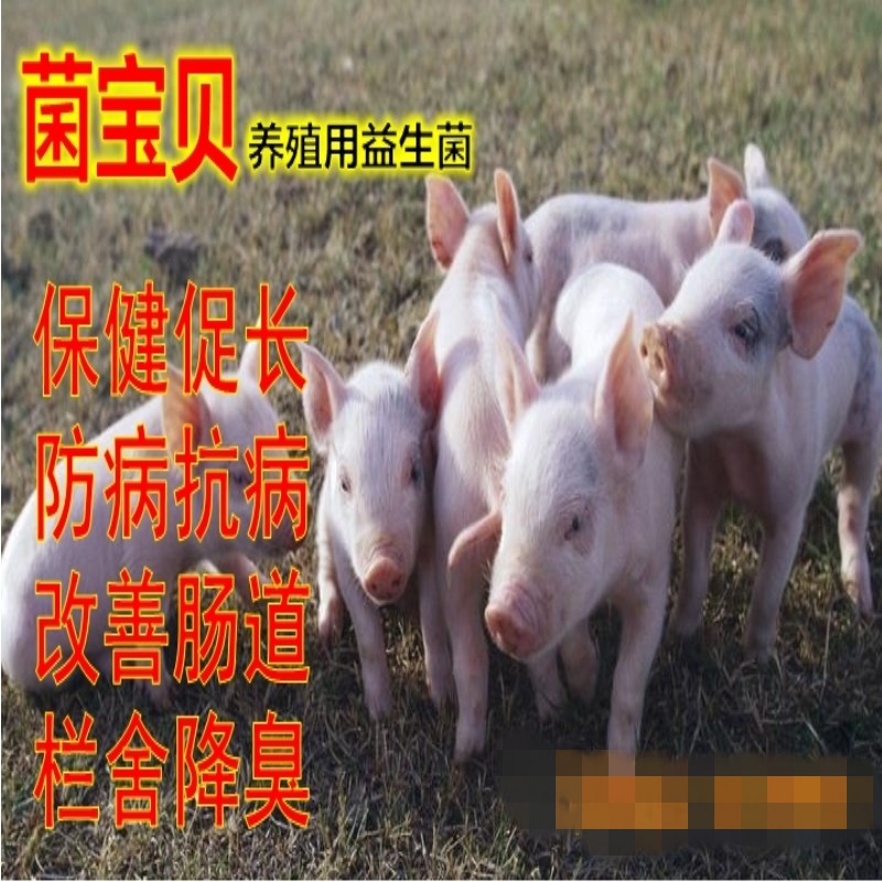 益生菌圖片/益生菌樣板圖 (1)