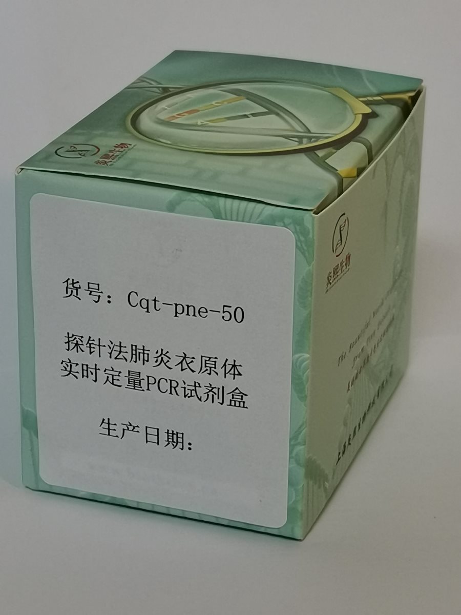 定量PCR圖片/定量PCR樣板圖 (3)