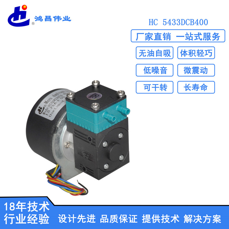 5433DCB400微型液泵圖片