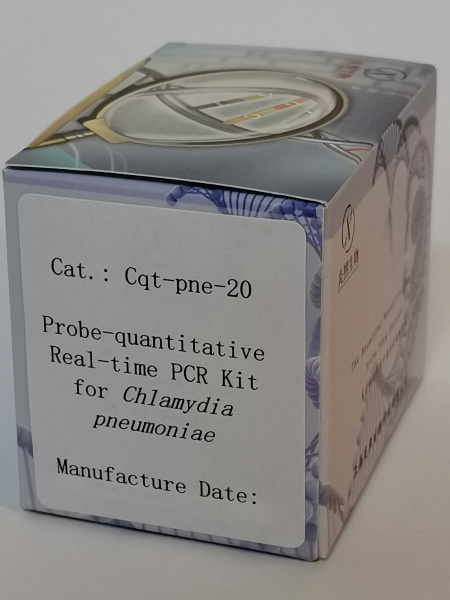 定量PCR圖片/定量PCR樣板圖 (2)