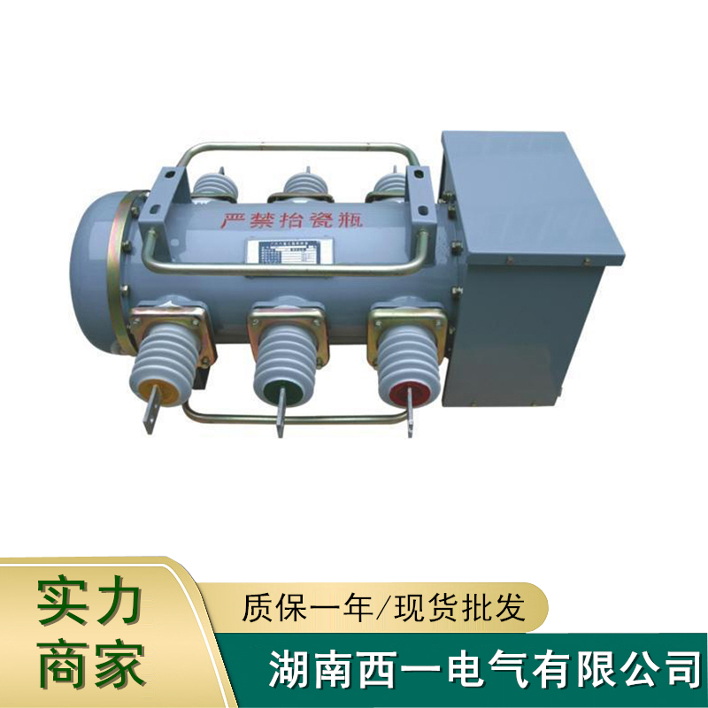 SF6断路器LW3-12供应商