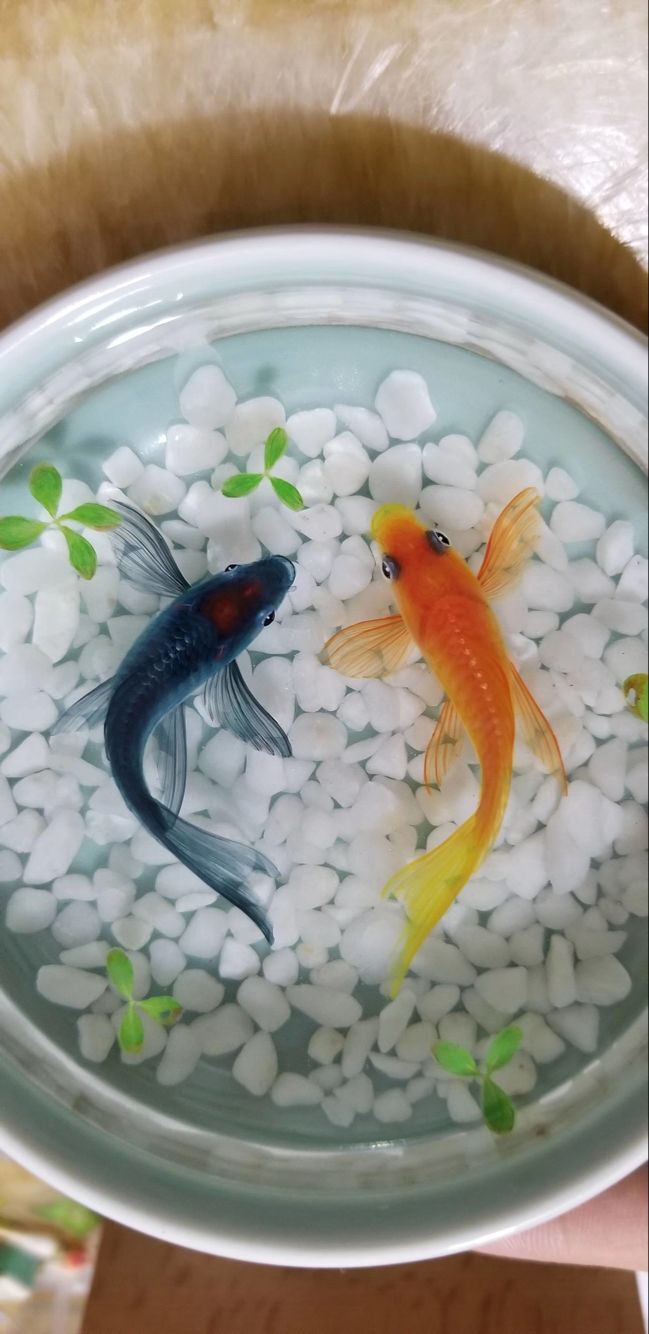 樹(shù)脂畫(huà)膠水圖片/樹(shù)脂畫(huà)膠水樣板圖 (2)