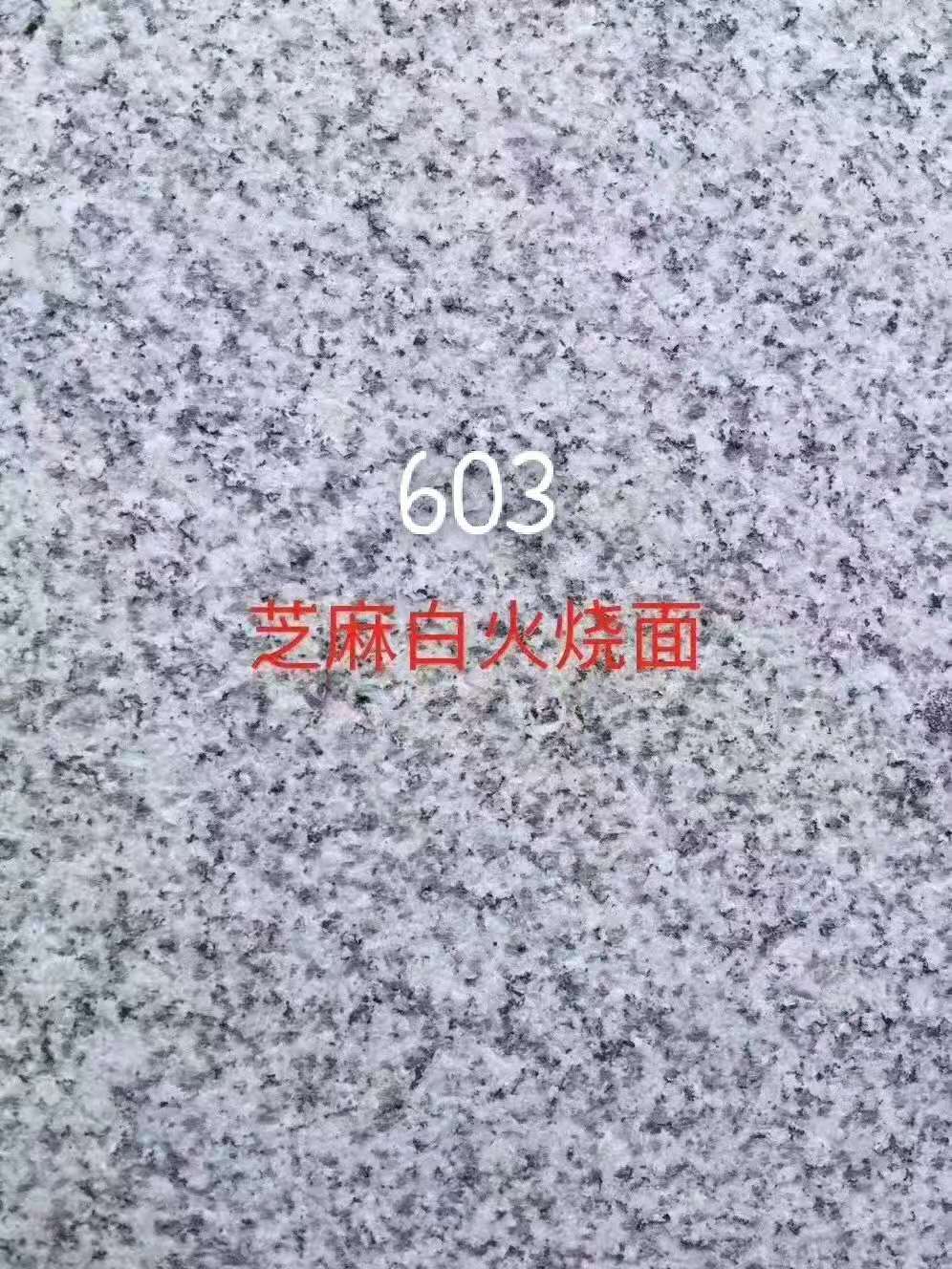 603芝麻白圖片/603芝麻白樣板圖 (4)