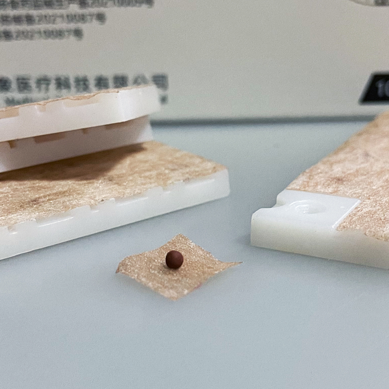 穴位圖片/穴位樣板圖 (2)