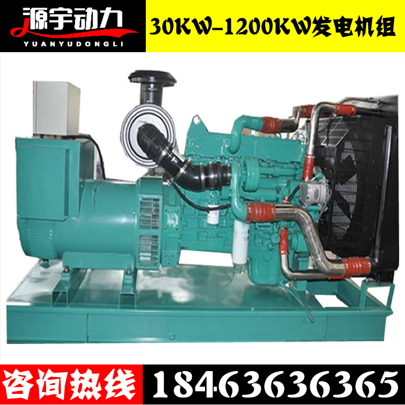 40KW發(fā)電機組圖片/40KW發(fā)電機組樣板圖 (3)