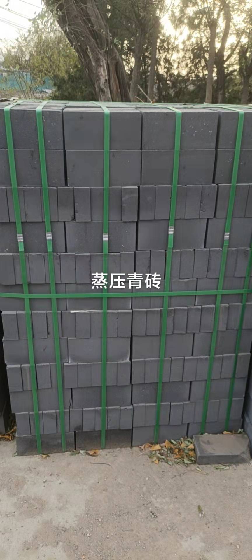 蒸壓青瓦圖片/蒸壓青瓦樣板圖 (1)