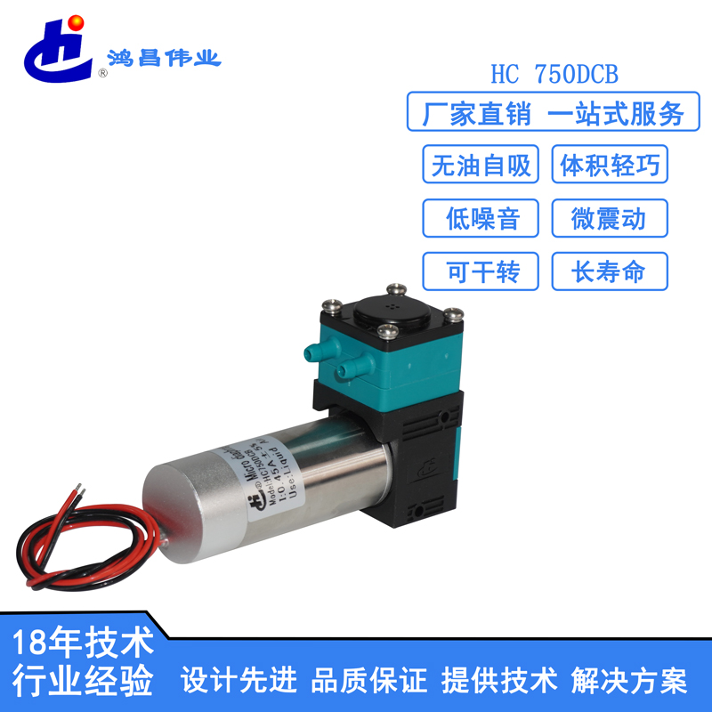 HC 750DCB微型液泵圖片