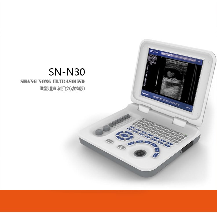 推車式獸用B超機圖片/推車式獸用B超機樣板圖 (3)