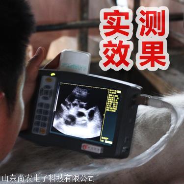 獸用高清B超機(jī)圖片/獸用高清B超機(jī)樣板圖 (1)