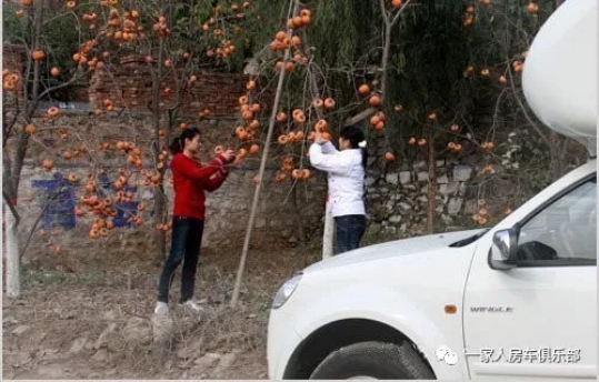 自駕游圖片/自駕游樣板圖 (2)