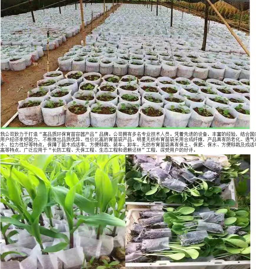 無紡布葡萄套袋 防蟲防鳥水果套袋 鋼絲帶扎口水果袋廠價供應(yīng)