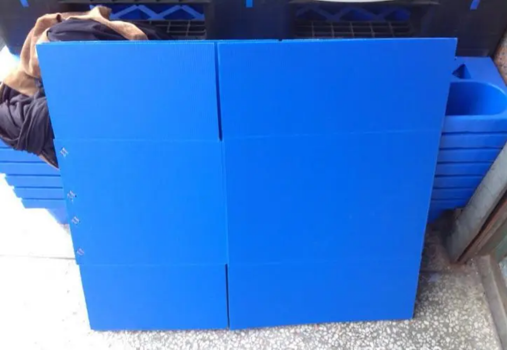 包裝板圖片/包裝板樣板圖 (4)